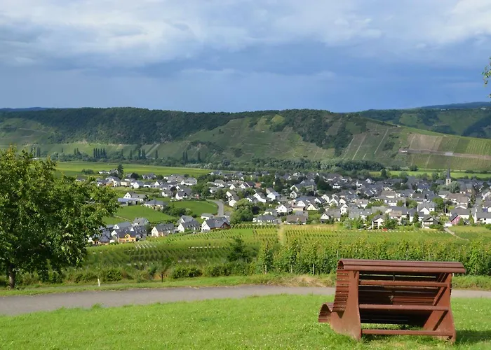 Weingut***pension Guenther Scholtes Maison d'hôtes 3*